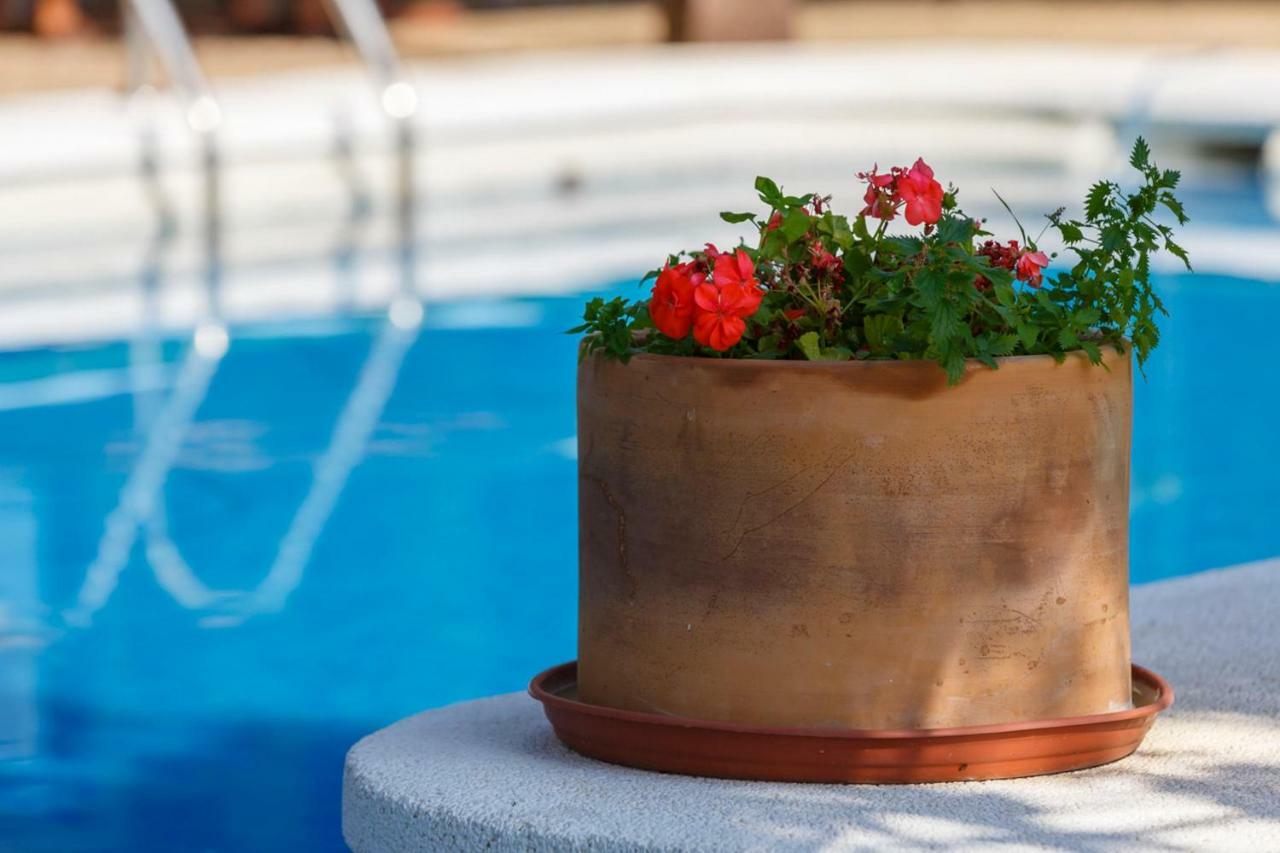 Casita Las Malvinas En Villa De Nijar Con Piscina Esterno foto